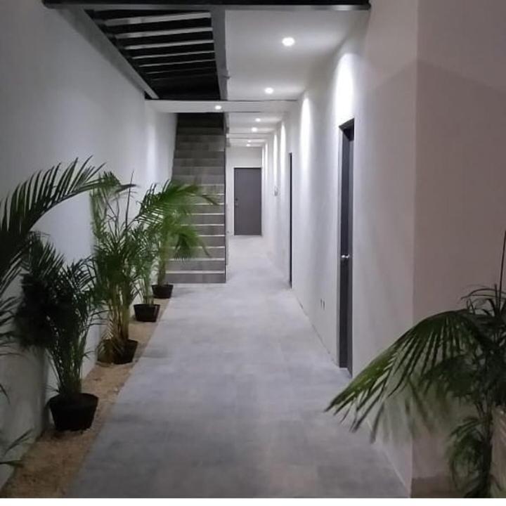 Suites And Art 坎昆 外观 照片